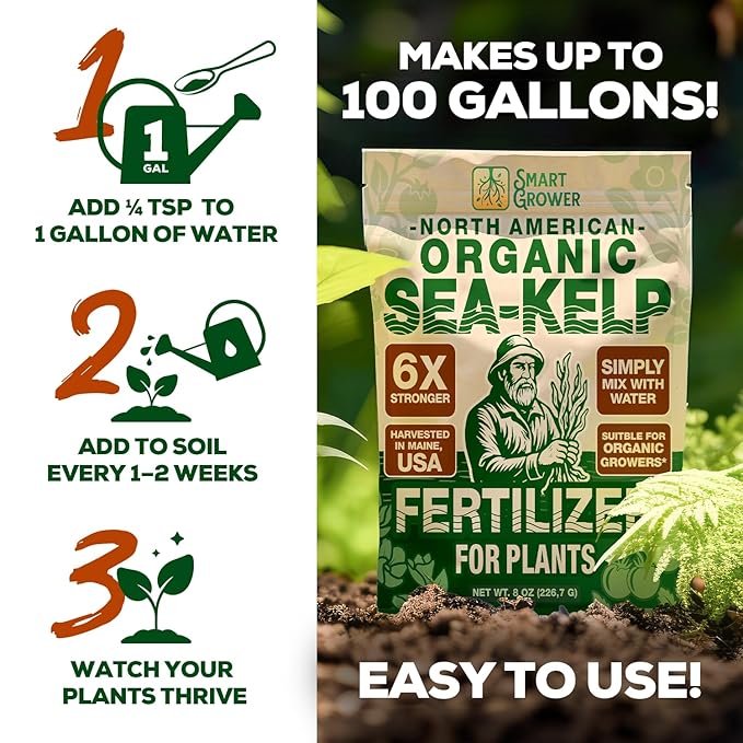 Organic Sea Kelp Fertilizer for Plants – Water-Soluble – Makes 200 Gallons – Kelp Meal Concentrate Plant Food – for Indoor Gardens, Hydroponics, Vegetables, Houseplants - Smart Grower - 8oz Bag