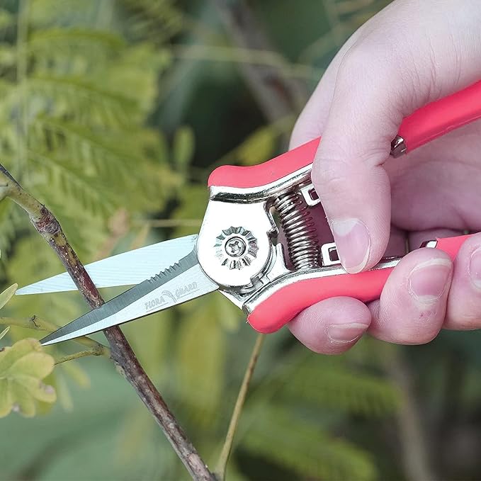 FLORA GUARD 6.5-Inch Floral Scissors, Zinc Alloy with Rubber Handle, Toothed Blade for Quick Cutting, Suitable for Flower Placement, Plant Pruning, Rose or Fruit Picking (Red)
