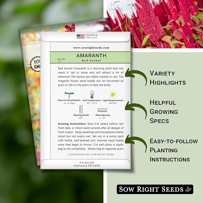Sow Right Seeds - Red Garnet Amaranth Seeds for Planting - Non-GMO Heirloom Packet with Instructions to Plant & Grow an Outdoor Home Vegetable Garden - Colorful & Unique - Trailing Variety (4)