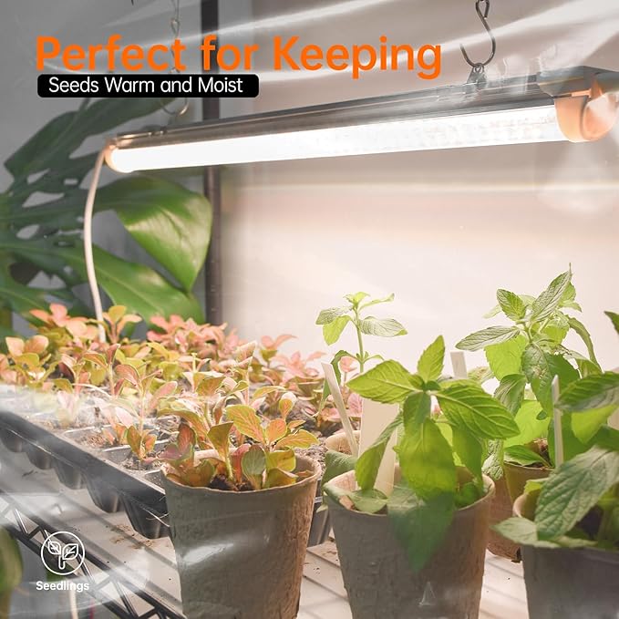 Bstrip Indoor Greenhouse with Grow Light, Mini Green house with 5 Pack T8 Full Spectrum Plant Lights, Plant Shelf with Tent for Indoor Plant, Seed Starting, Seed Tray, 29.5"x13.8"x71"