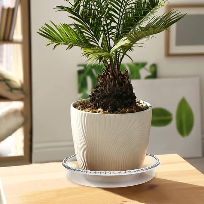 6 Pack Plant Saucer 6 8 10 12 14 Inch Plastic Plant Tray, Sturdy and Durable Flower Pot Container Accessories Plant Pot Saucers for Indoor and Outdoor (12 Inch, Clear)