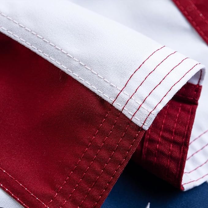 American Flag 8x10 Ft, Large American Flags for Outside, US USA Flag, Vivid Color, Sewn Stripes, Brass Grommets, Embroidered Stars, Perfect for Indoor/Outdoor High Wind Use
