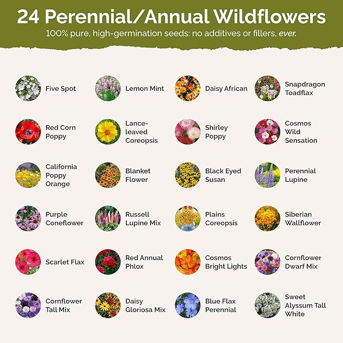 Eden Brothers West Virginia Wildflower Mixed Seeds for Planting, 1 lb, 480,000+ Seeds with Cornflower, Lupine | Attracts Pollinators, Plant in Spring or Fall, Zones