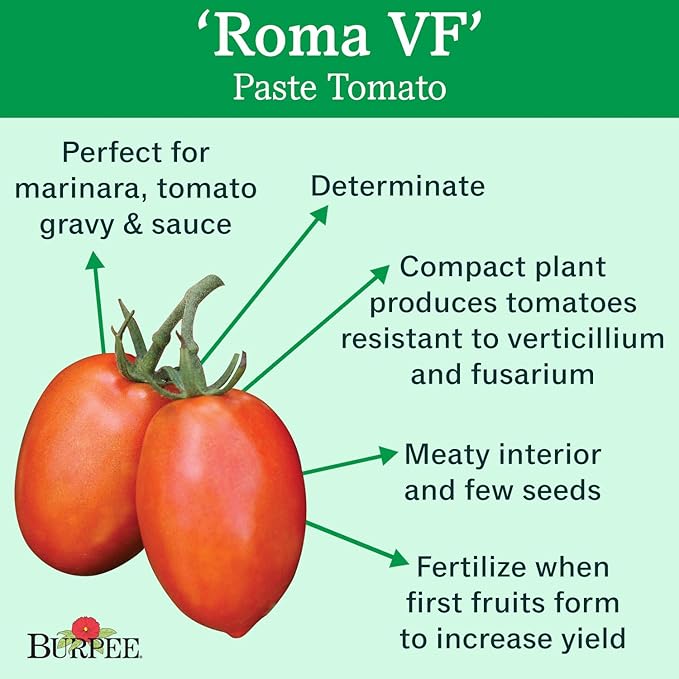 Burpee 'Roma VF' Heirloom | Red Paste Tomato | 250 Seeds