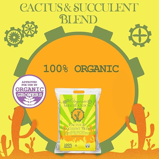 Cactus and Succulent Blend Potting Soil, 2 Quarts (Pack of 10) - Enhances Root Growth & Water Drainage with Biochar, Rice Hulls, and Worm Castings - Peat-Free & Eco-Friendly