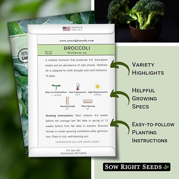Sow Right Seeds - Waltham 29 Broccoli Seeds for Planting - Non-GMO Heirloom Packet with Instructions to Plant an Outdoor Home Vegetable Garden - Grow Your Own Fresh Green Broccoli - Great Gift (1)