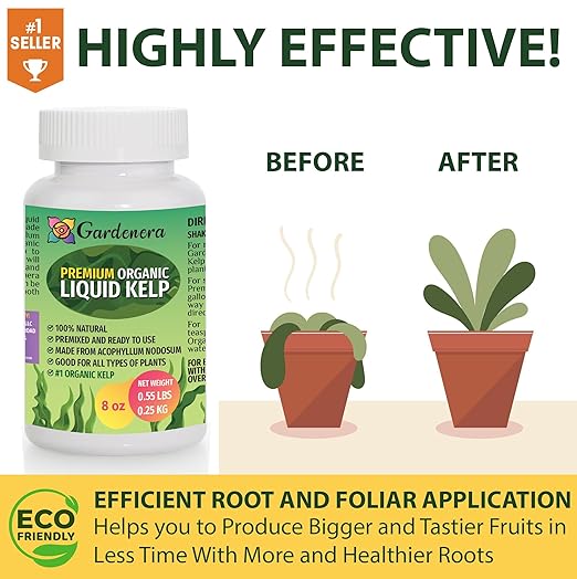 Organic Liquid Kelp Fertilizer - 1 Quart [32 oz] - Organic Plant Superfood for Gardening - Concentrated Kelp & Seaweed Extract for Gardens, Lawns, Plants & Soil