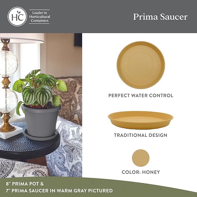 The HC Companies 12 Inch Round Prima Plastic Plant Saucer - Indoor Outdoor Plant Trays for Pots - 12.4 Inchx12.4 Inchx1.5 Inch in Honey