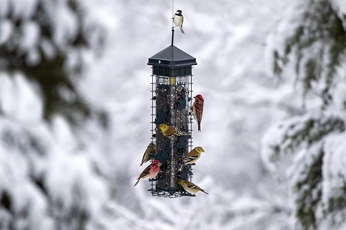 Squirrel Solution200 Squirrel-proof Bird Feeder w/6 Feeding Ports, 3.4-pound Seed Capacity, Free Seed Funnel
