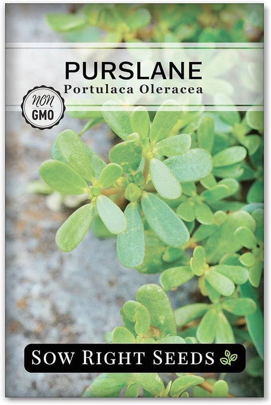 Sow Right Seeds - Purslane Seeds for Planting - Non-GMO Heirloom Packet with Instructions to Grow an Outdoor or Indoor Vegetable Garden - Rare Edible & Culinary Variety - Medicinal Benefits & Uses (1)