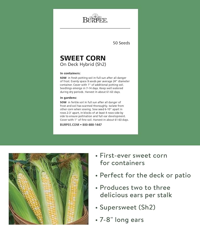 Burpee On Deck Sweet Corn Seeds 50 seeds