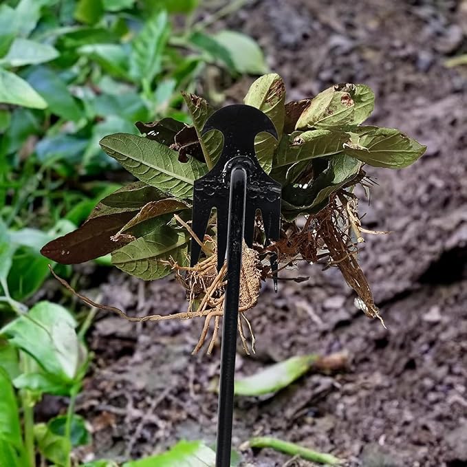 Stainless Weeding Artifact Uprooting Weeding Tool, Stainless Steel Forged Weed Puller 4 Teeth Dual Purpose Weeder, Hand Weeder Tool for Gardening with Long Handle (Black 4Pcs)