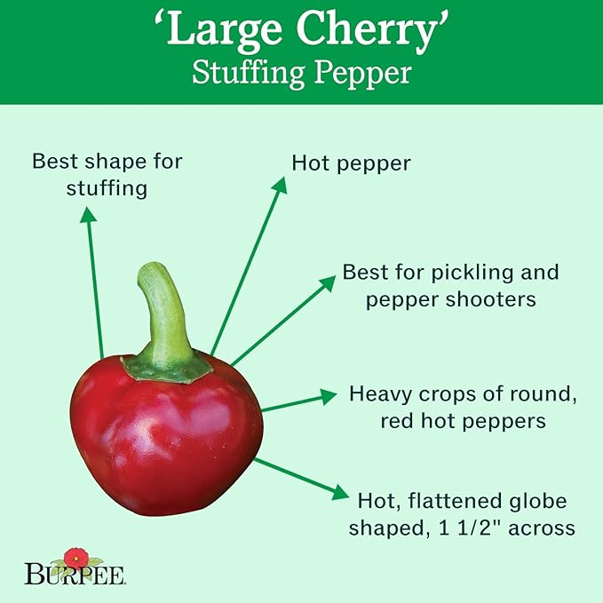 Burpee Large Cherry Hot Pepper Seeds 150 seeds