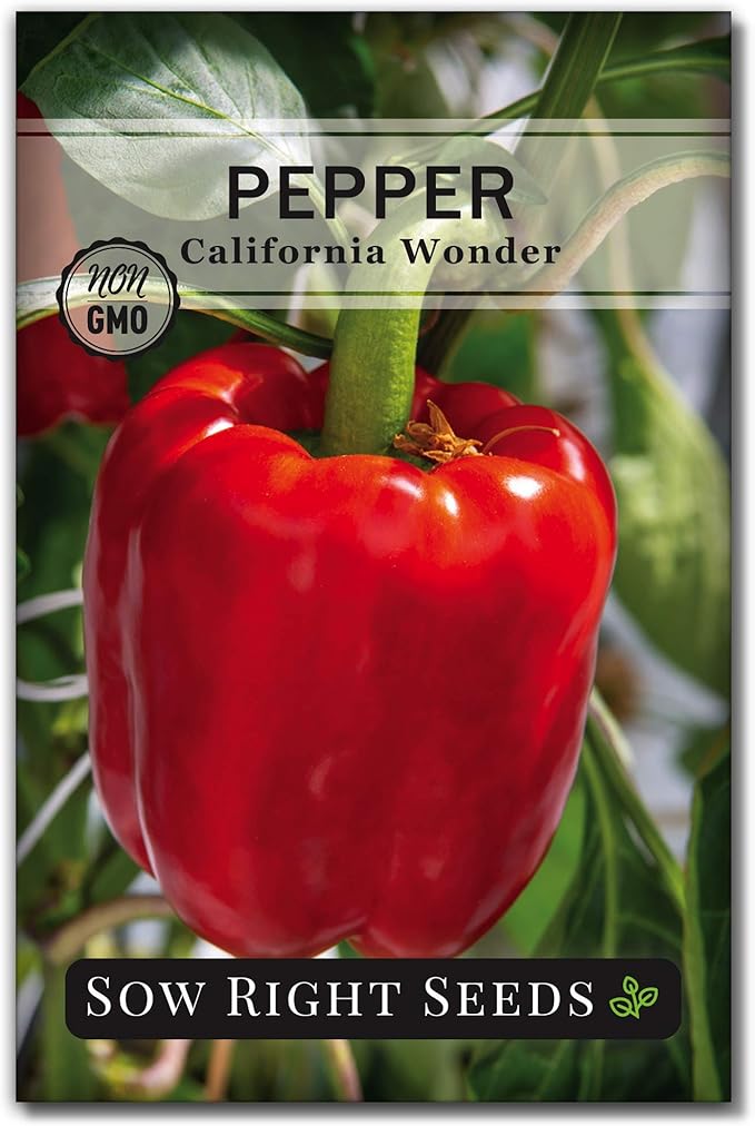 Sow Right Seeds - California Wonder Bell Pepper Seed for Planting - Non-GMO Heirloom Packet with Instructions to Plant an Outdoor Home Vegetable Garden - Productive and Sweet, Pick Green or Red (1)