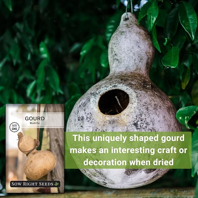 Sow Right Seeds - Bottle Gourd Seed for Planting - Non-GMO Heirloom Packet with Instructions to Plant and Grow an Outdoor Home Vegetable Garden - Ornamental Birdhouse Gourd for Crafting and Decor (3)