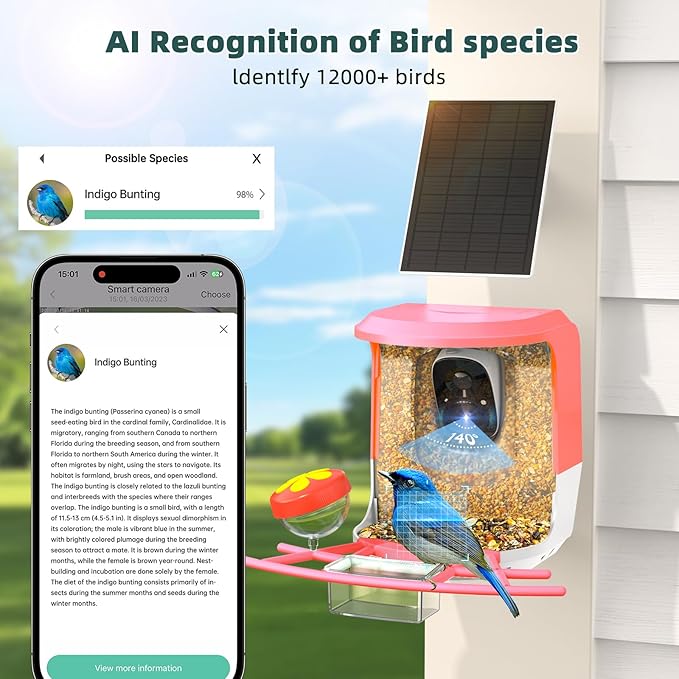 Smart Bird Feeder with Camera Solar Powered - 2K HD Live Video Camera AI Identify Birds, Visible Window Auto Capture& Motion Detection -Instant Arrival Alerts, Birds Lover Gifts