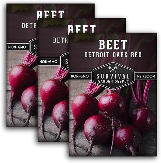 Survival Garden Seeds - Detroit Dark Red Beet Seed for Planting - 3 Packs with Instructions to Plant and Grow Delicious Root Vegetables in Your Home Vegetable Garden - Non-GMO Heirloom Variety
