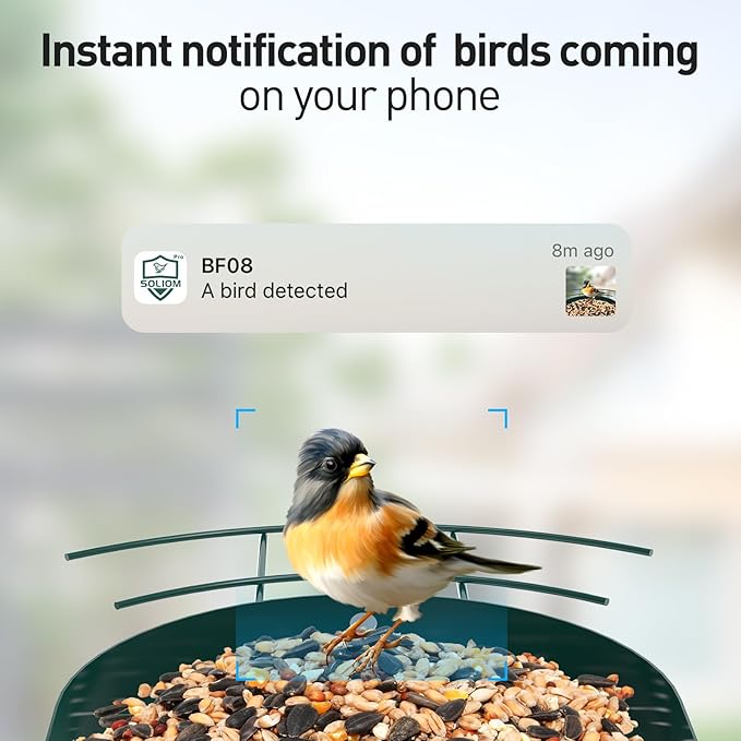 SOLIOM Solar Bird Feeder with Camera for Outdoors - Durable Metal AI Smart Birdhouse, 2K Live View & Instant Alerts, Squirrel Proof - Ideal Bird Watching Gift (Red)