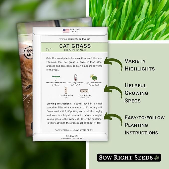 Sow Right Seeds - Cat Grass Seeds for Planting - 100% Sweet Oats - Non-GMO Heirloom Healthy Greens for Cats and Dogs - Easy to Grow - Safe & Natural Indoor Use - Ideal for Pet Lovers