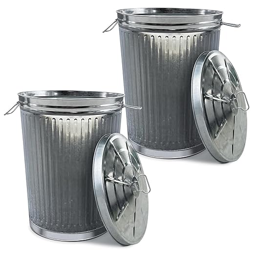 Plexon Metal Trash Can with Lid Outdoor 20 Gallon Galvanized Steel Garbage Bucket with Lid Silver, 2 Pack