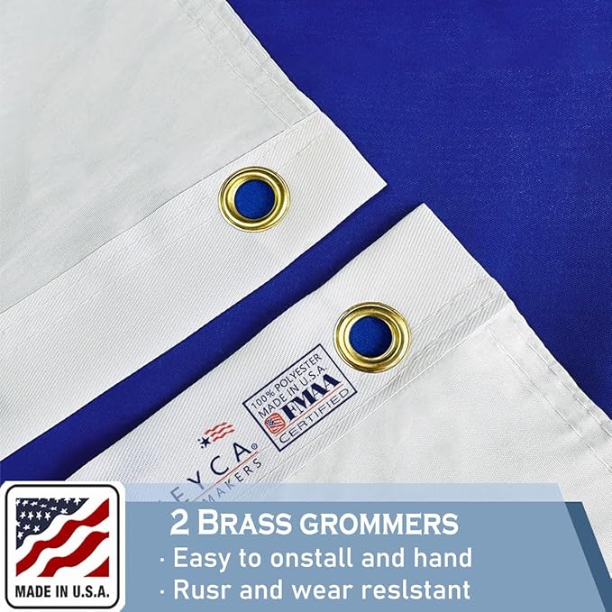 Israeli Flags 4x6 FT Made in The USA-Heavy Duty Vibrant Colors Double Sided Israeli National Flag Flag with 2 brass grommets for Home/Company/Indoor Outdoor Decoration
