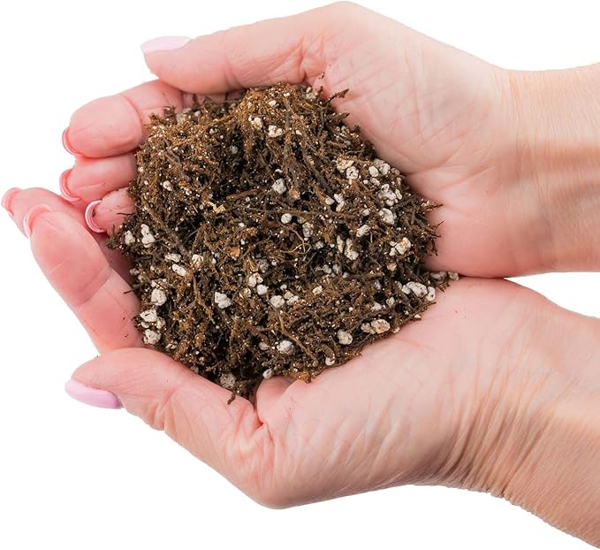 Gardenera Fern + Perlite Soil Mix for Repotting and Planting Succulents and Cactuses - 1 Quart Bag
