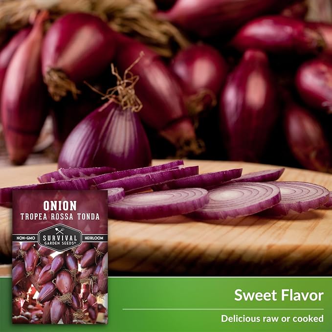 Tropea Rossa Tonda Onion Seeds for Planting - 5 Packets with Instructions to Plant and Grow Italian Long Day Onions in Your Home Vegetable Garden - Non-GMO Heirloom Variety - Survival Garden Seeds