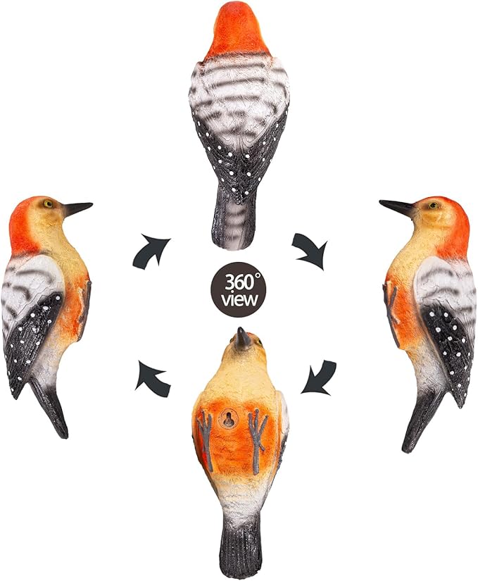 Outdoor Resin Bird Statue, Hanging Tropical Bird, red-Bellied Woodpecker Sculpture Perfect Patio Decor, Outdoor, Patio, Lawn, Tree Trunk, Porch Decor