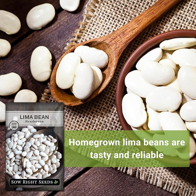Sow Right Seeds - Bush Henderson Lima Bean Seeds for Planting - Non-GMO Heirloom Packet, Instructions to Plant an Outdoor Home Vegetable Garden - White Lima Variety - Great for Canning or Freezing (3)
