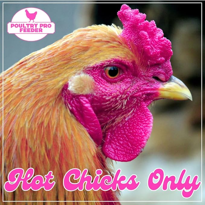 Hot Chicks Only | The Original Pink Poultry Pro Feeder DIY Port PVC Gravity Fed Chicken Feeder 3 Ports and Hole Saw | Rain Proof, Weather Resistant Chicken Feeder (Hot Chick Feeder Kit)