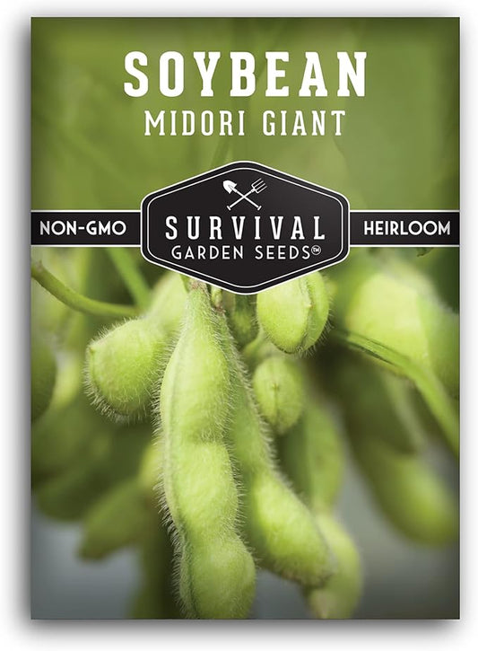 Survival Garden Seeds Midori Giant Soybean Seed for Planting - Packet with Instructions to Plant & Grow Protein-Rich Edamame Pods in Your Home Vegetable Garden - Non-GMO Heirloom Variety Edamame Seeds