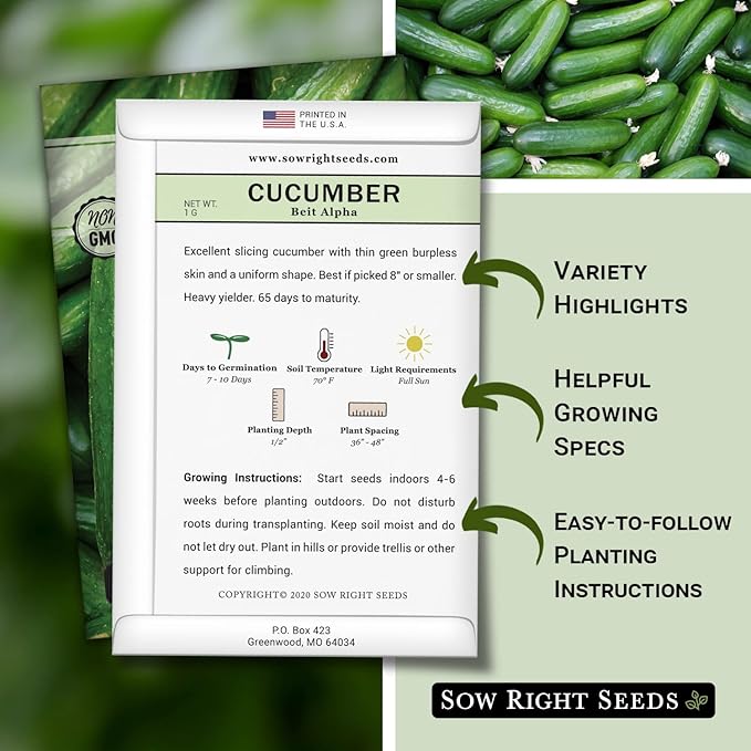Sow Right Seeds - Beit Alpha Cucumber Seeds for Planting - Non-GMO Heirloom Packet with Instructions to Plant and Grow a Home Vegetable Garden - Start Indoors, Plant Outdoors with Trellis (4)