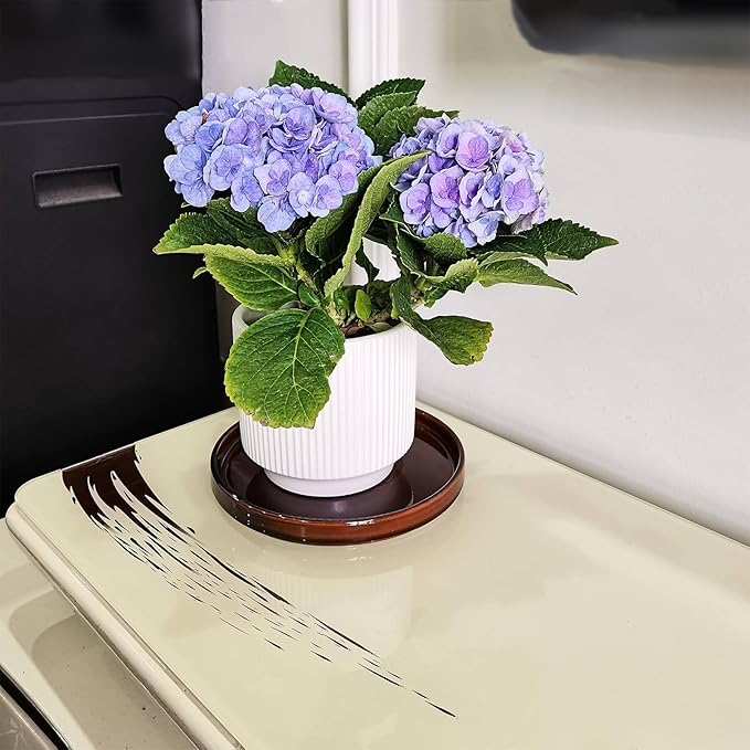 Ceramic Plant Saucer 7 Inch, 2 Pack Round Plant Trays for Indoors/Outdoors, Flower Pot Saucers for Holding Water Drips and Soil, Ceramic Drainage Tray for Plant Pot (Brown)