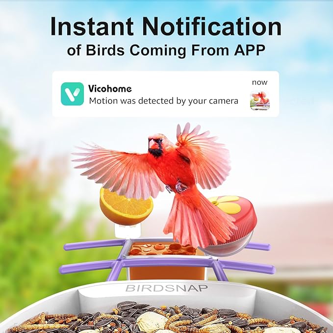 birdsnap® PAV- Smart Bird Feeder with Camera Solar Powered, 64GB Card & 2K HD Record Video Bird Camera Live with 5 DIY Add-ons, AI Identify Auto Capture, Ideal Gift for Birds Lover