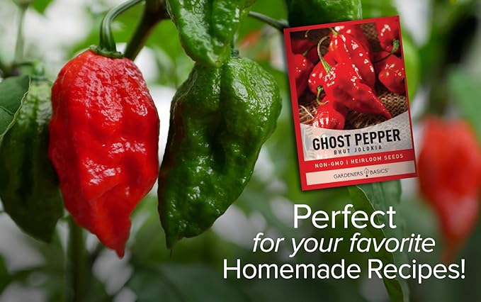 Gardeners Basics, Ghost Pepper Seeds for Planting Spicy Hot - Heirloom Non-GMO Hot Pepper Seeds for Home Garden Vegetables Makes a Great Plant Gift for Gardening