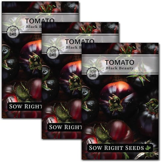Sow Right Seeds - Black Beauty Tomato Seeds for Planting - Non-GMO Heirloom Packet with Instructions to Plant an Outdoor Home Vegetable Garden - Rare Deep Purple Slicing Variety - Sweet Flavor (3)