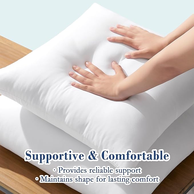 puredown® 12x20 Outdoor Pillow Inserts, Set of 2, Fluffy Soft Lumbar Pillows Filled with Plump Down Alternative Stuffer for Porch Swing Sofa Couch Cushion Patio Furniture