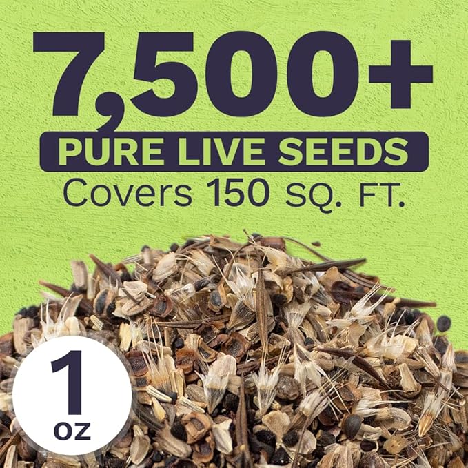 Cut Flower Garden Seeds - Extra Large 1 Ounce Packet - Over 7,500 Fresh Open Pollinated Non-GMO Wildflower Seeds - Long Lasting Annuals and Perennials with Bright Colors