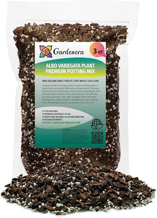 Albo Variegata Soil Blend - Hand-Crafted with The Finest Ingredients for Vibrant Foliage - 3 Quart