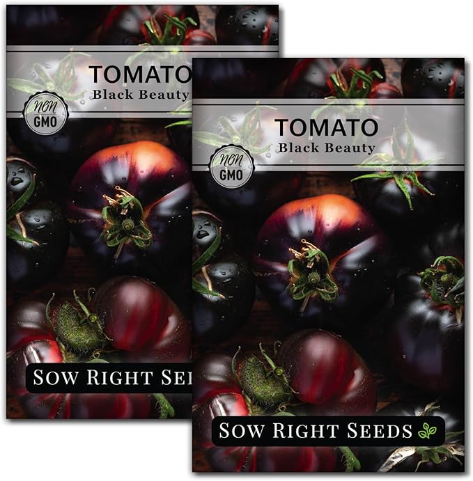 Sow Right Seeds - Black Beauty Tomato Seeds for Planting - Non-GMO Heirloom Packet with Instructions to Plant an Outdoor Home Vegetable Garden - Rare Deep Purple Slicing Variety - Sweet Flavor (2)