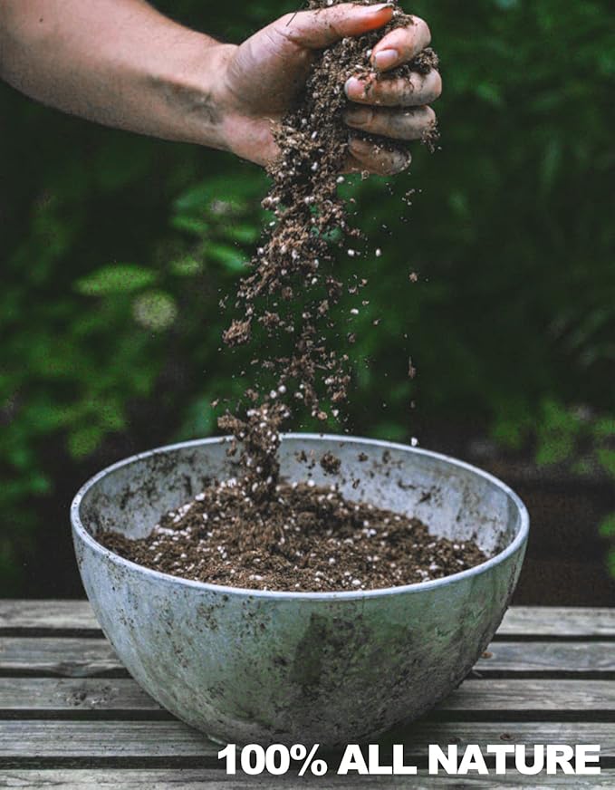 Carnivorous Plant Soil Mix, 1 QT Small Size Bag for Repotting, All Natural Ingredients Great for Venus, Sundews, and Pitcher Plants