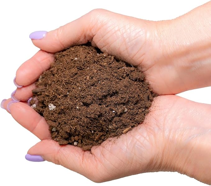 Tailor-Made Soil Mix for Tangerine Trees : Grow Your Own Juicy Tangerines with Confidence - 2 Quart
