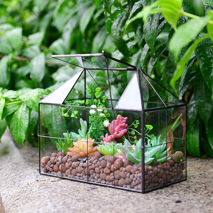Large Glass Terrarium House Planter – Succulent Plant Glass Greenhouse with lid 9.8"X7.9"X5.9" NA