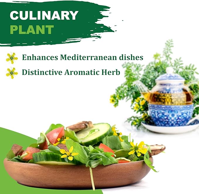 TKE Farms & Gardens - Rue Seeds for Planting, 1 Gram, 500 Heirlooom Seeds, Non-GMO, Instructions Included, Ruta graveolens, Qty 1