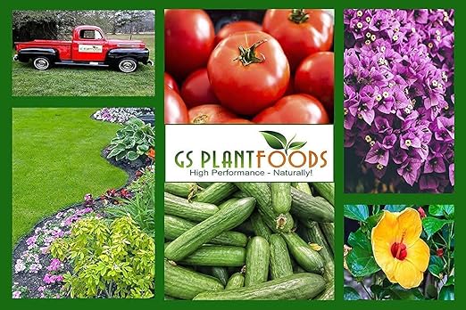Soil Spice Plant Fertilizer - All Purpose Organic Plant Food (16 oz) - Organic Fertilizer with Compact & Easy to Use Shaker - Great for Herb Gardens, House Plants, Potted Plant (16 Ounce)