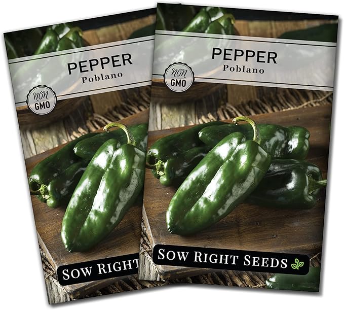 Sow Right Seeds - Poblano Pepper Seeds for Planting - Non-GMO Heirloom Packet with Instructions to Plant a Home Vegetable Garden - Hot Ancho Chile Variety to Grow, Spicy and Abundant (2)