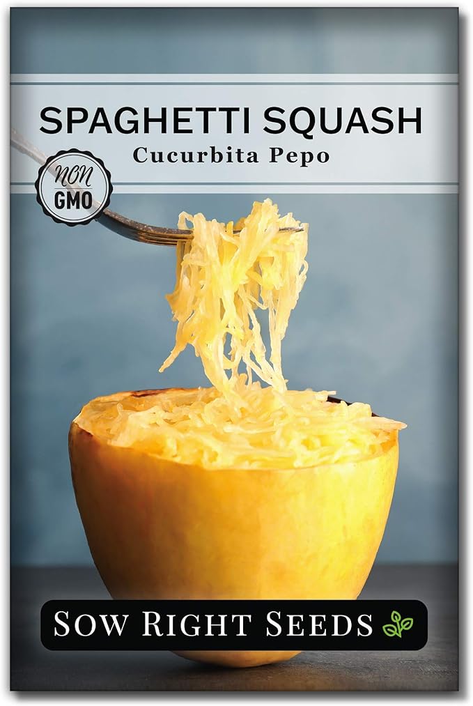 Sow Right Seeds - Winter Squash Seed Collection for Planting - Spaghetti, Waltham Butternut and Acorn Table Queen Squash Seeds, Non-GMO Heirloom Seeds to Plant a Home Vegetable Garden