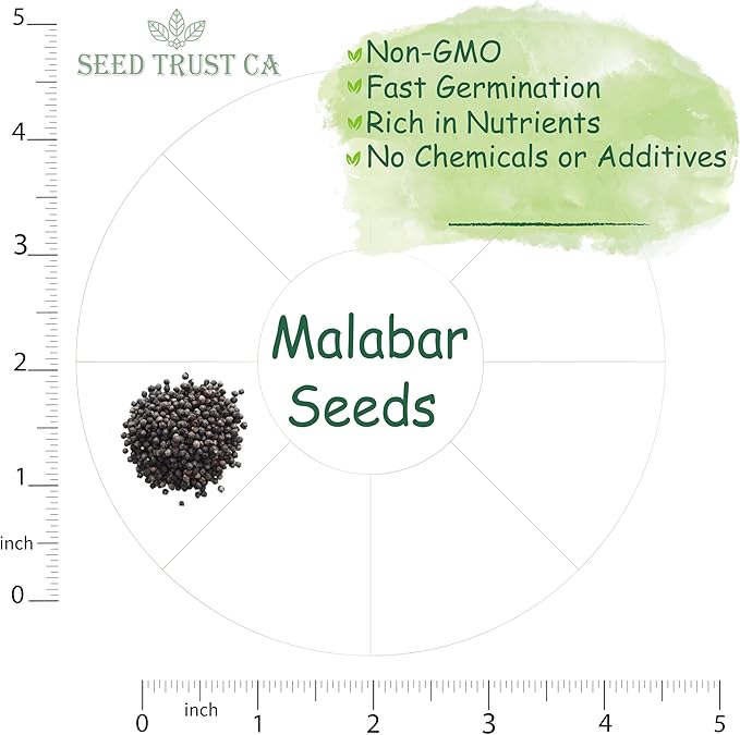 Malabar Spinach Seeds – 100+ Non-GMO, High-Yielding Malabar Variety Heirloom Seeds – High Germination Rate, Easy to Grow, Nutritious Tropical Leafy Green – USA (Malabar)