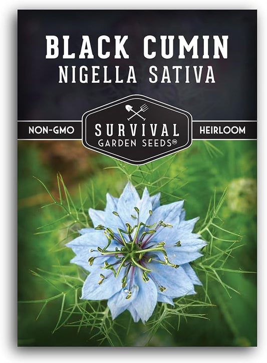 Black Cumin Seed for Planting - 1 Packet with Instructions to Plant and Grow Beneficial Nigella Sativa Plants in Your Home Vegetable Garden - Non-GMO Heirloom Variety - Survival Garden Seeds