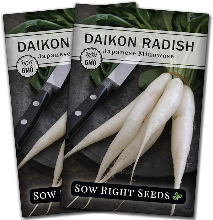 Sow Right Seeds - Japanese Minowase Daikon Radish Seeds for Planting - Non-GMO Heirloom Packet with Instructions to Plant a Home Vegetable Garden - Spring or Fall Planting Outdoors - Long White (2)